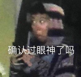 王菲表情包无字,无声胜有声的社交魅力